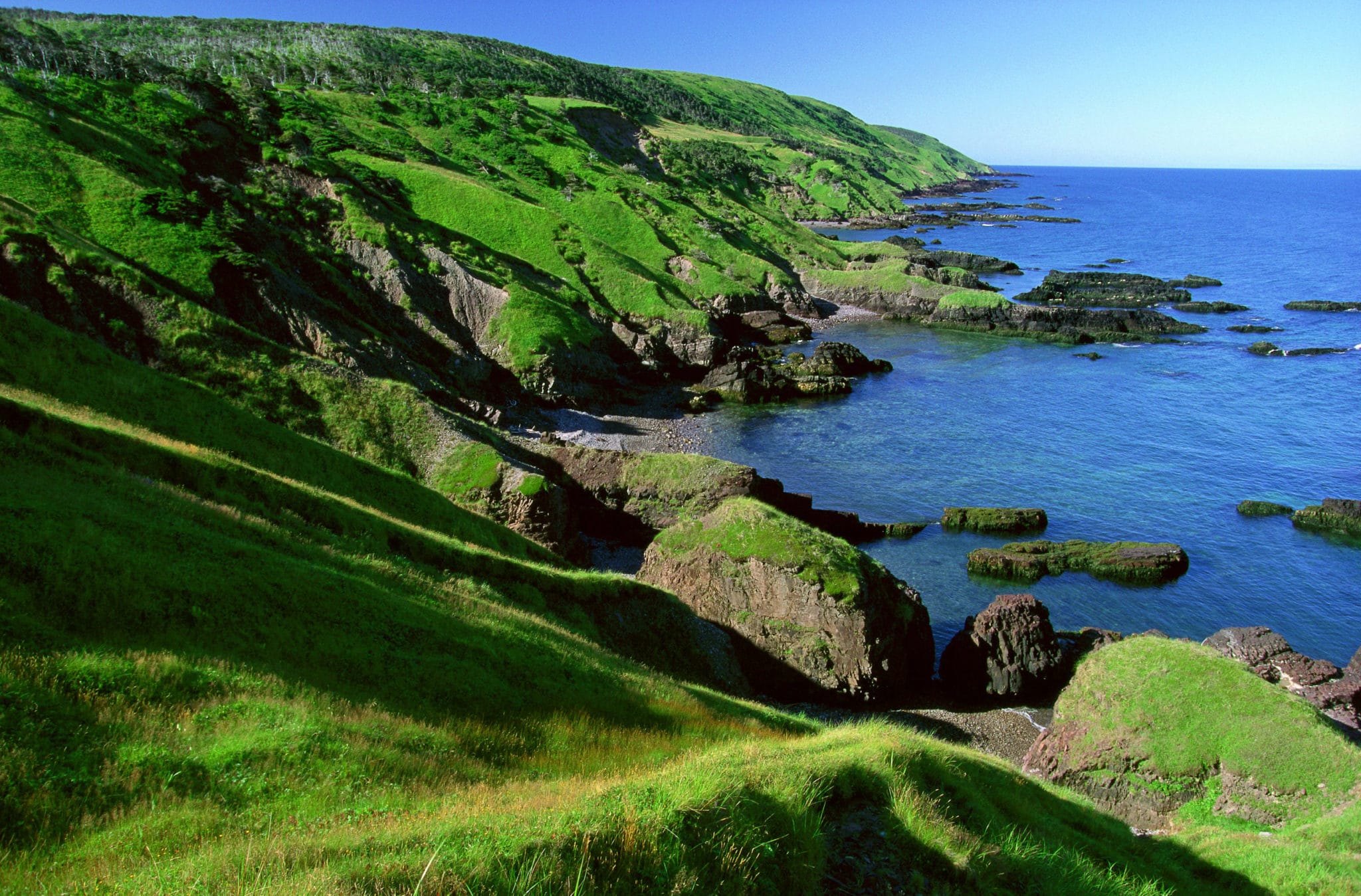 saint-pierre-and-miquelon-octa